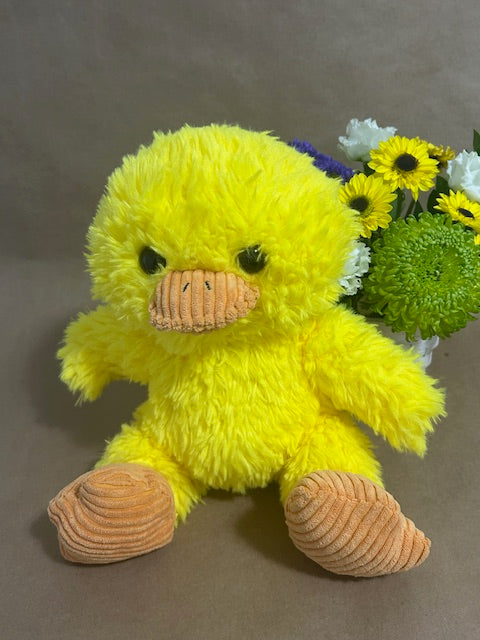 Scruffy the Ducky